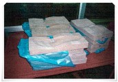 mold14