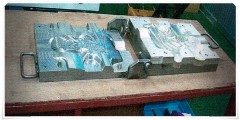 mold25